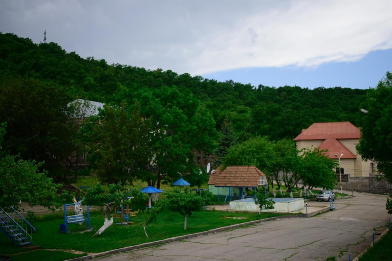 Aliq Hotel Tsaghkadzor Esterno foto